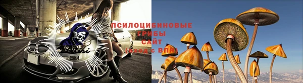 ПСИЛОЦИБИНОВЫЕ ГРИБЫ Алексин