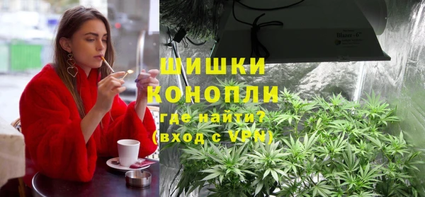 ПСИЛОЦИБИНОВЫЕ ГРИБЫ Алексин