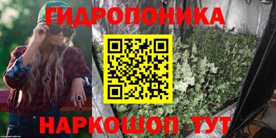 каннабис Кингисепп