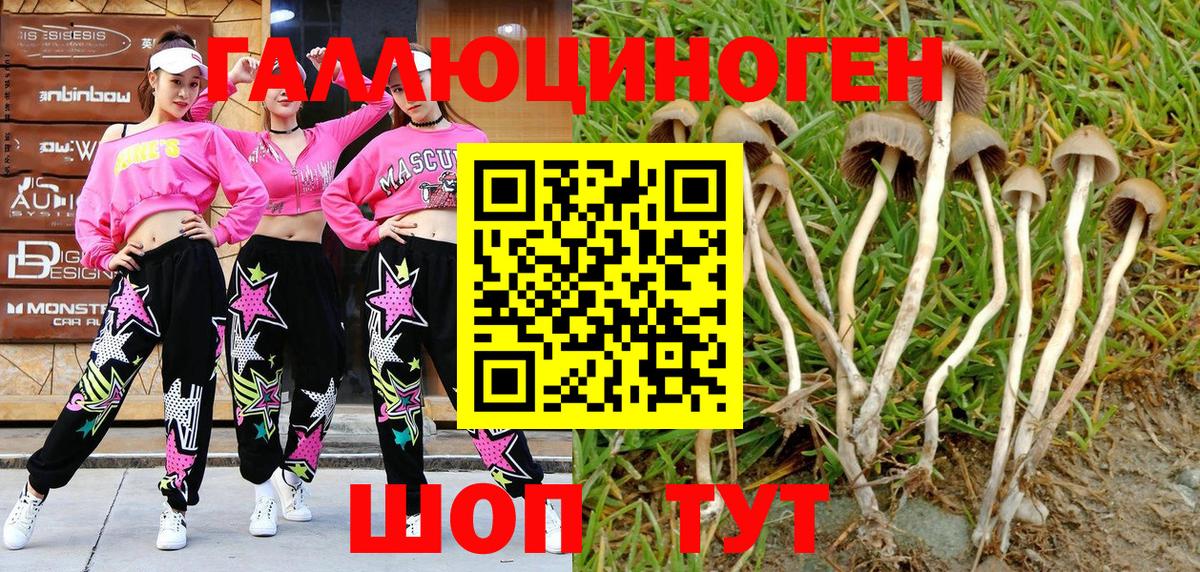 Псилоцибиновые грибы GOLDEN TEACHER Урай